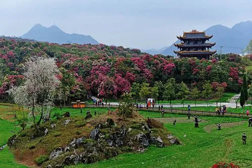 百里杜鹃风景名胜区