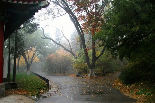 大雨过后的北京大学